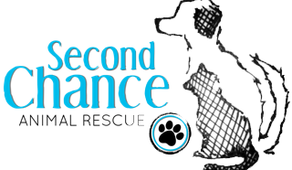 Second Chance Animal Rescue